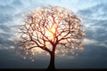 a tree with glowing lights on it in front of a cloudy sky