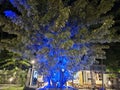 Big tree decorated with blue beautiful strip neon Royalty Free Stock Photo