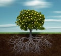 Tree with golden apple Royalty Free Stock Photo