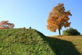 Tree with Golden leaves on a green hill under a blue sky. Royalty Free Stock Photo