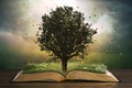 Tree growing on an open Bible