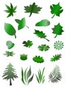 Tree, grass and vector leafs