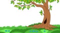 Tree in grassy landscape Royalty Free Stock Photo