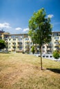 Tree in green area in front of newly built block of flats