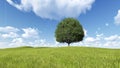 Tree green field meadow and trail 3D render Royalty Free Stock Photo