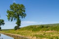 Tree, green field near the water Royalty Free Stock Photo