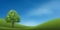 Tree with green grass hill or mountain area and blue sky. Abstract background park and outdoor for landscape design idea. Vector Royalty Free Stock Photo