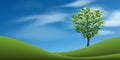 Tree with green grass hill or mountain area and blue sky. Abstract background park and outdoor for landscape design idea. Vector Royalty Free Stock Photo