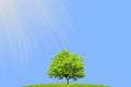 A tree on a green hill under the sky with unusual clouds Royalty Free Stock Photo