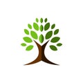 Tree with Green Leaves Logo Template Illustration Design. Vector EPS 10 Royalty Free Stock Photo