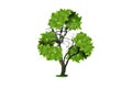 Tree with green leaves in shape of recycling symbol on white background Royalty Free Stock Photo