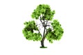 Tree with green leaves in shape of recycling symbol on white background Royalty Free Stock Photo