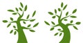 Tree green logo set. Eco organic emblem collection. Family life. Plant oak logotype icon . Vector silhouette of tree.