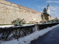 Tree green metall tank ertillery war fight machine heavy gear snow winter white belgrade castle fortress exhibition park Royalty Free Stock Photo