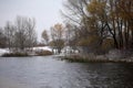 Tree grove on a river bank in winter Royalty Free Stock Photo