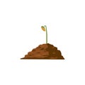 Tree grow. Plant growth from seed to sapling with green leaf. Stages of seedling and growing tree in soil. Gardening