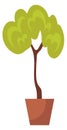 Tree grow in pot. Houseplant icon. Home decoration