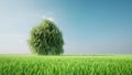 Tree grow up green grass field landscape eco concept nature environmental 3d Royalty Free Stock Photo