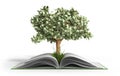 tree growing from book A big open book with coins and tree Reading makes you richer concept 3d render