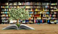 tree growing from book A big open book 3d render Success knowlage concept Royalty Free Stock Photo