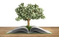 Tree growing from book A big open book with tree Reading makes y