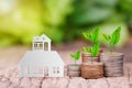 Tree growing on coins stack with paper house model for saving to buy a house Royalty Free Stock Photo