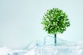 A tree growing from dump of bottles plastic on mint colored background with copy space.