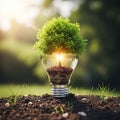 A tree growing inside a glass light bulb, rooted in soil with visible roots, symbolizes Royalty Free Stock Photo