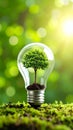 Tree growing inside light bulb, concept of environmental protection and ecology. Royalty Free Stock Photo