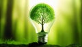 tree growing inside a light bulb. Concept of green energy and energy-saving light bulbs Royalty Free Stock Photo