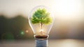 Tree growing inside a lightbulb symbolizing renewable energy and growth Royalty Free Stock Photo