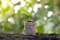 Tree growing from money saving bags and green nature backdrop blurred