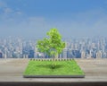 Tree growing from an open book, Business ecological concept Royalty Free Stock Photo