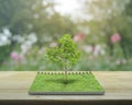 Tree growing from an open book, Ecological concept Royalty Free Stock Photo