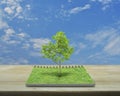 Tree growing from an open book, Ecological concept Royalty Free Stock Photo