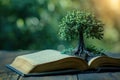 tree growing from an open book, symbolizing the growth of knowledge and ideas Royalty Free Stock Photo