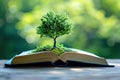 tree growing from an open book, symbolizing the growth of knowledge and ideas Royalty Free Stock Photo