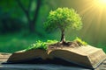 tree growing from an open book, symbolizing the growth of knowledge and ideas Royalty Free Stock Photo