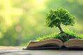 tree growing from an open book, symbolizing the growth of knowledge and ideas Royalty Free Stock Photo