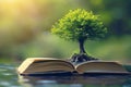 tree growing from an open book, symbolizing the growth of knowledge and ideas Royalty Free Stock Photo