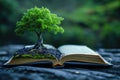 tree growing from an open book, symbolizing the growth of knowledge and ideas Royalty Free Stock Photo