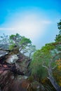 a tree growing out of a cliff face with a foggy sky in the background and a few clouds in the distance Royalty Free Stock Photo