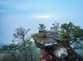 a tree growing out of a cliff face with a foggy sky in the background and a few clouds in the distance