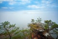 a tree growing out of a cliff face with a foggy sky in the background and a few clouds in the distance