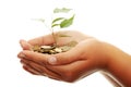 Tree growing from pile of coins Royalty Free Stock Photo