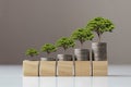 Tree growing on a pile of coins and wooden blocks, the concept of finance Royalty Free Stock Photo