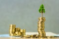 Tree growing on pile of golden coins and account book or credit