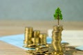 Tree growing on pile of golden coins and account book or credit cart, growth business finance investment and Corporate Social