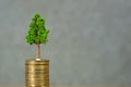 Tree growing on pile of golden coins, growth business finance in Royalty Free Stock Photo