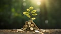 tree growing on pile of golden coins, growth business finance investment and Corporate Social Responsibility or CSR practice Royalty Free Stock Photo